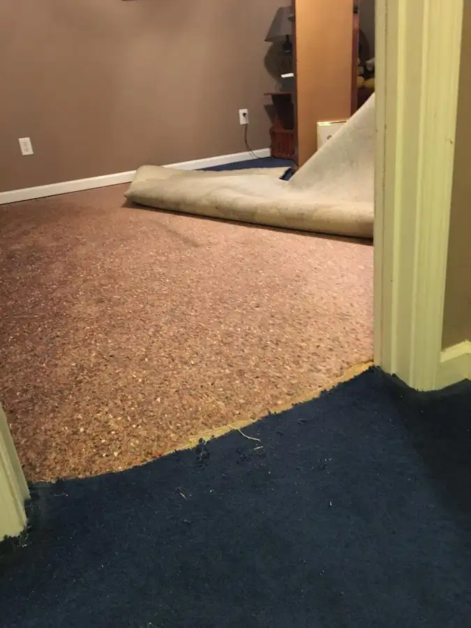 Carpet pad removal revealing water damage during Water Mitigation Services in Watford City